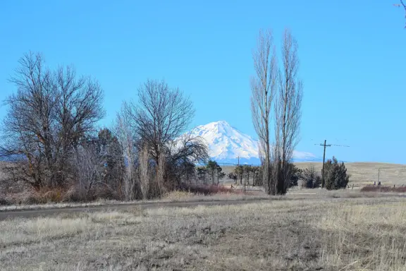 Mystic Mountain Ranch