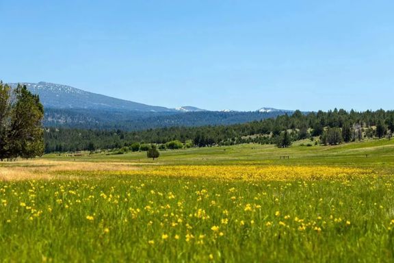 Parker Creek Ranch