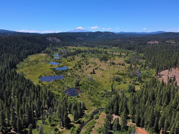 Bear Flat Meadows
