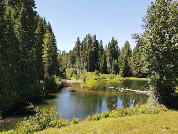 Bear Flat Meadows