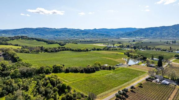Aina Vineyard