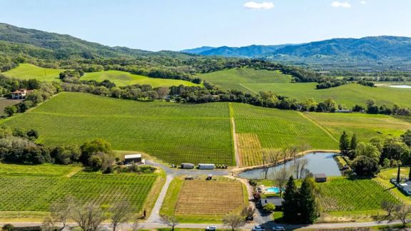 Aina Vineyard