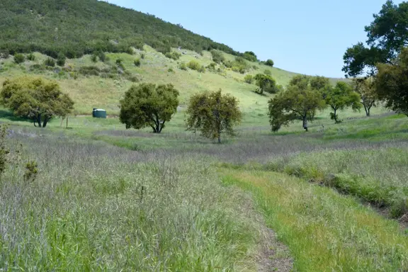 Goat Camp Ranch