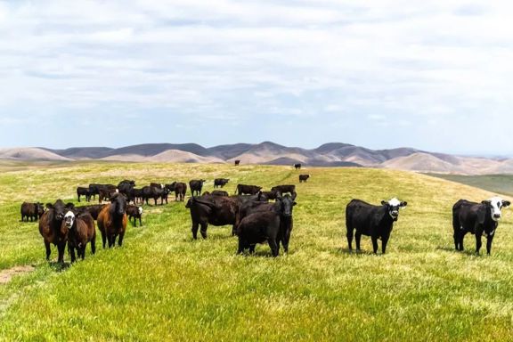 Prichard Sumner Ranch