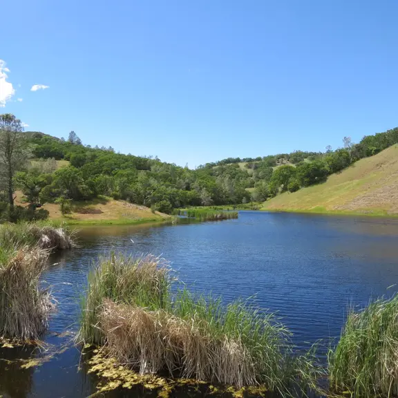 Arnerich Ranch