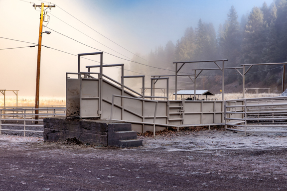 Harlan Cattle Ranch
