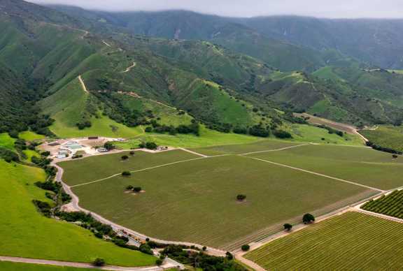 Boekenoogen Santa Lucia Highlands Vineyard  Proper