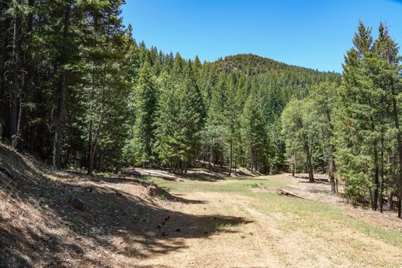 Black Oak Ranch