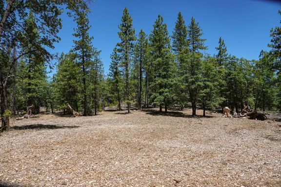 Black Oak Ranch