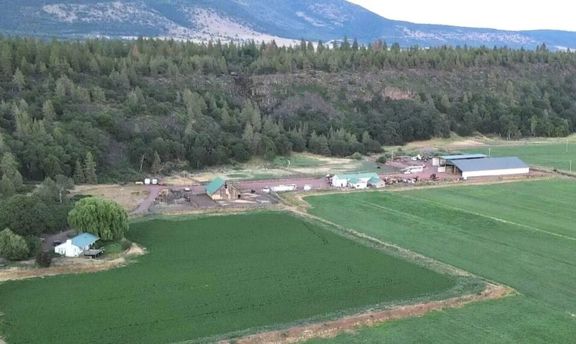 5 Springs Cattle and Hay Ranch