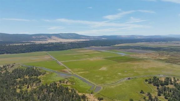 5 Springs Cattle and Hay Ranch