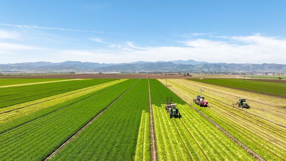 Reynolds Land and Cattle Co. Farmland