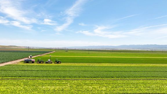 Reynolds Land and Cattle Co. Farmland