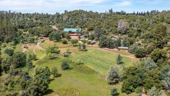 Camp Tuolumne Trails