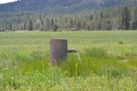 Stone Coal Valley Ranch