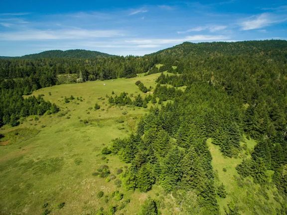 Biaggi Ranch