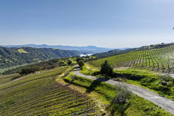 Pritchett Peaks Vineyard