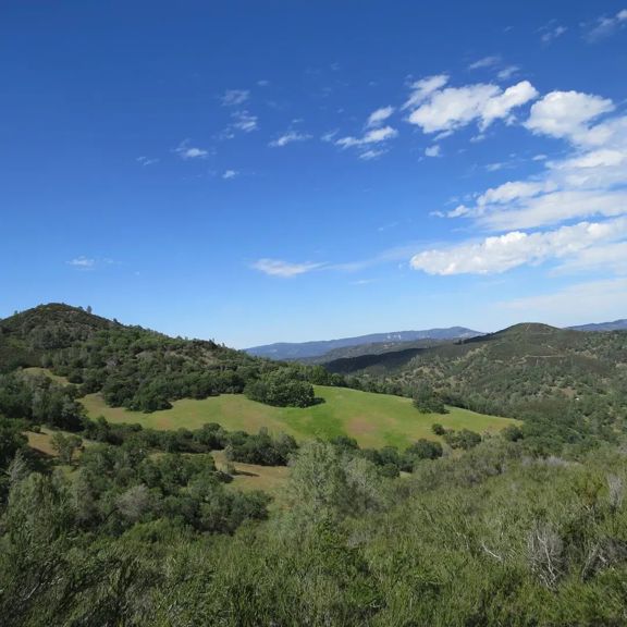 Arnerich Ranch