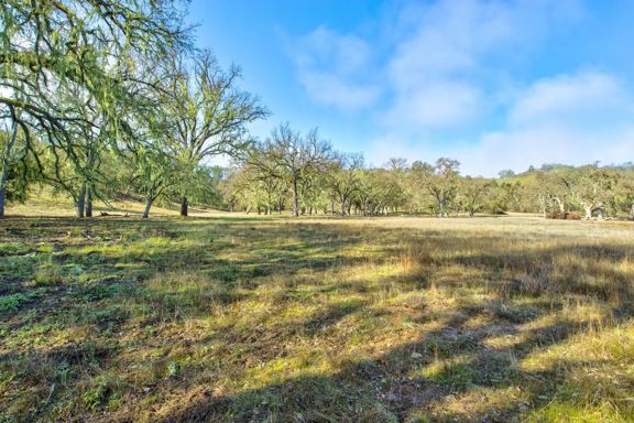 Cantinas Ranch