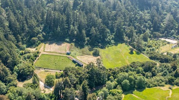 San Gregorio Creekside Farm