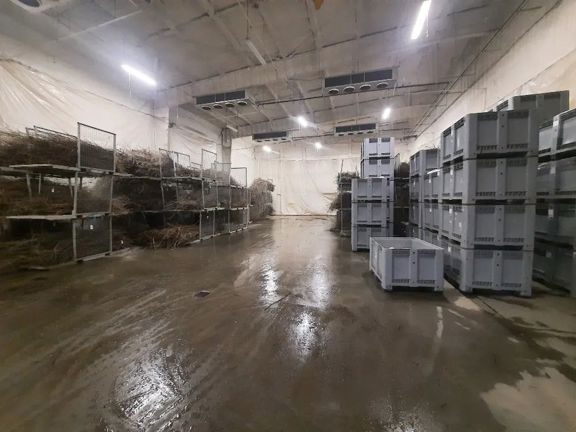 Knights Landing Nursery