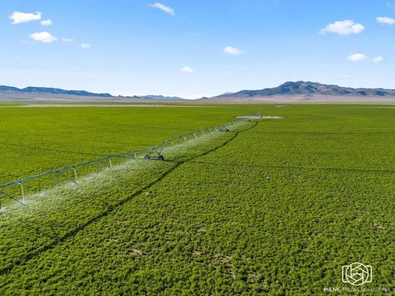 Antelope Valley Farm