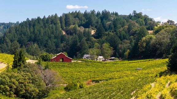 Rockpile Ranch | Rockpile AVA, Sonoma County