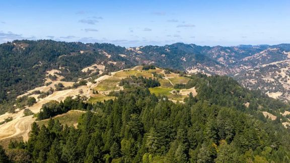 Rockpile Ranch | Rockpile AVA, Sonoma County