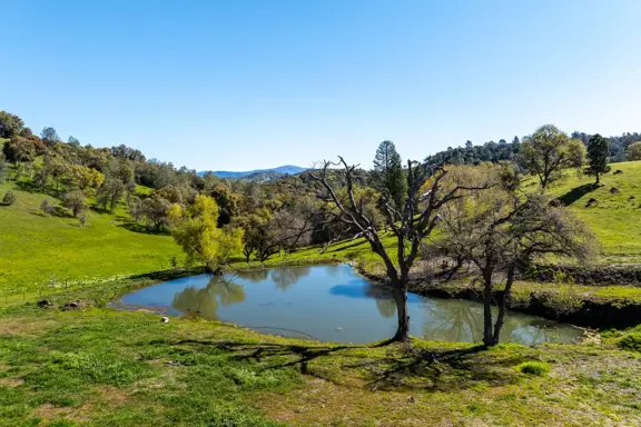 Espinoza Ranch