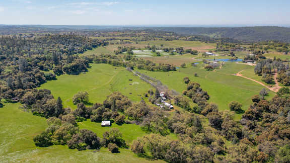 Shenandoah Estate