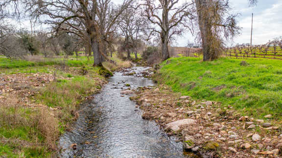 Hidden Creek Vineyard