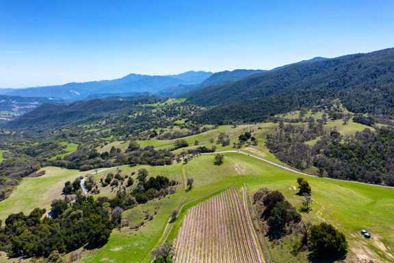 Paloma Creek Vineyard Ranch