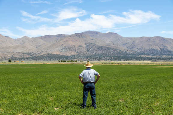 Constantia Ranch