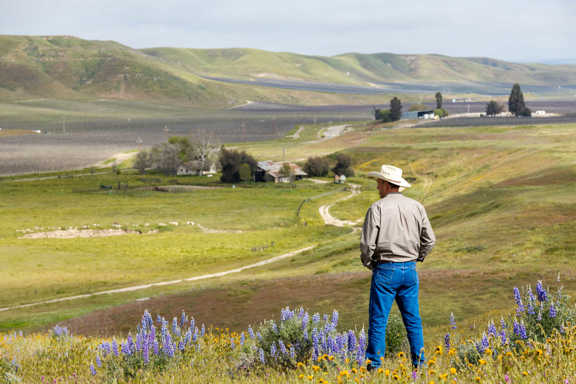 Morrison Ranch