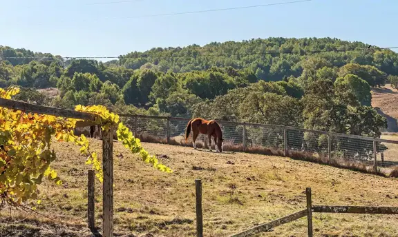 Cerro Pampa Ranch & Polo Club