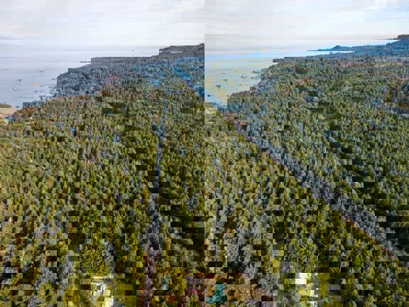 Trinidad Demonstration Forest