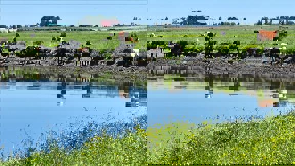 Pit River Cattle Ranch