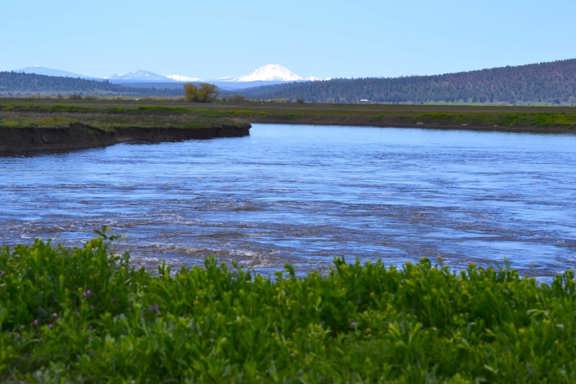 Pit River Cattle Ranch