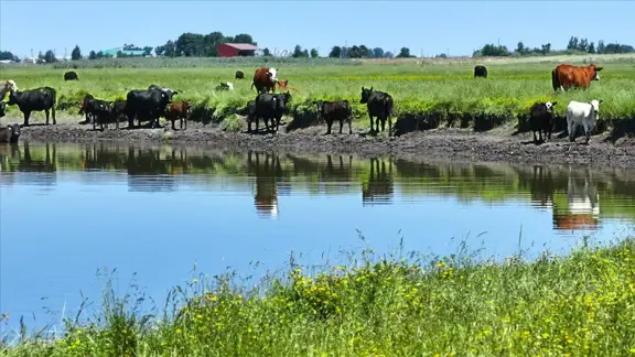 Pit River Cattle Ranch