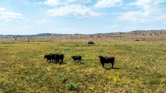 Clark’s Valley Ranch