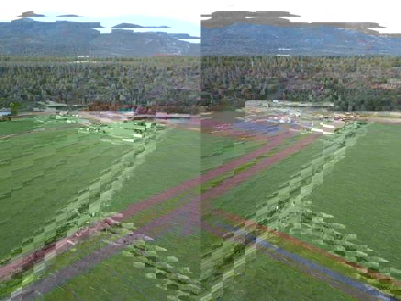 5 Springs Cattle and Hay Ranch