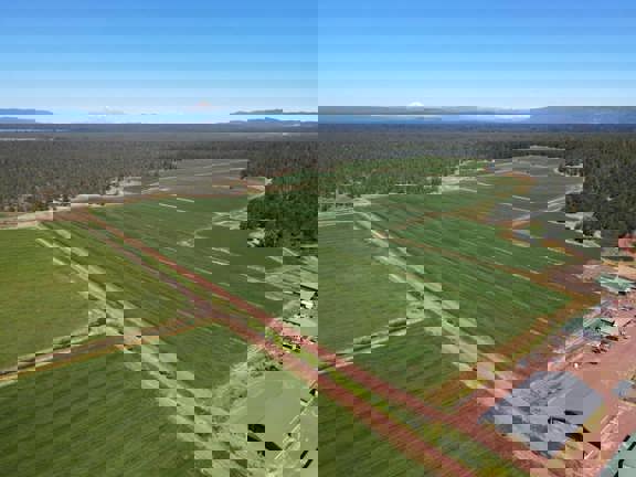 5 Springs Cattle and Hay Ranch