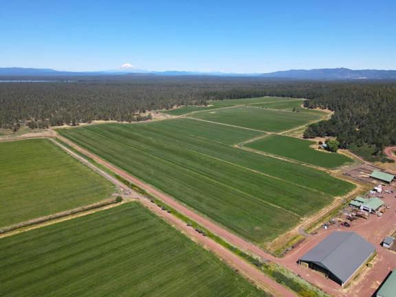 5 Springs Cattle and Hay Ranch