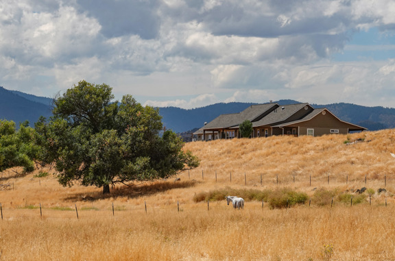 Little Shasta River Ranch