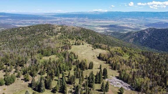 TBD County Road 575.1, Gardner, CO 81040