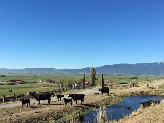 Northeast Oregon’s Premier Estate – The DLX Ranch
