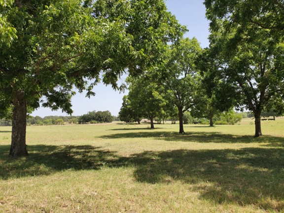 Beautiful Weatherford, Texas Cattle Ranch
