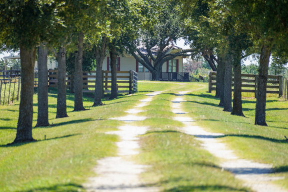 Windy Hill Ranch