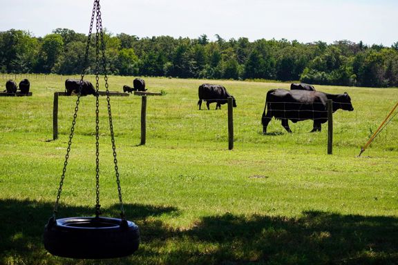 Windy Hill Ranch