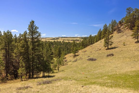 Riley Ranch